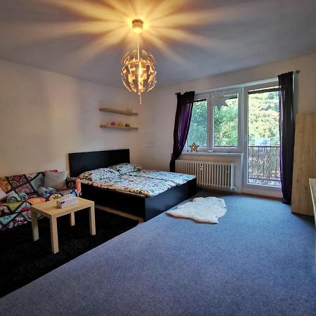 브르노 Cely Apartman Podlesi 54M2 S Dvema Balkony A S Novou Manzelskou Posteli, Zatim Neni Na Fotkach 아파트 외부 사진
