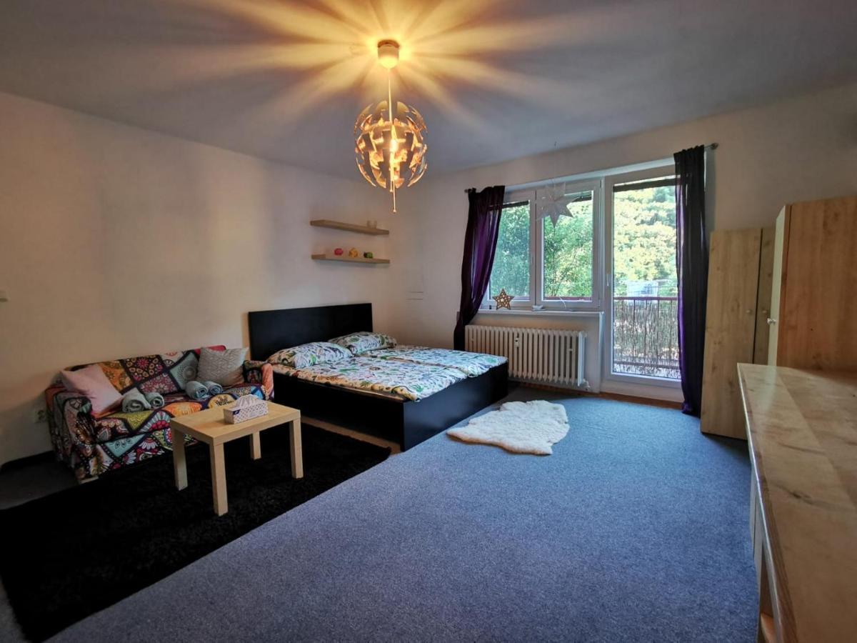 브르노 Cely Apartman Podlesi 54M2 S Dvema Balkony A S Novou Manzelskou Posteli, Zatim Neni Na Fotkach 아파트 외부 사진